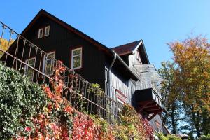 ein schwarzes Haus mit einem Balkon und einigen Bäumen in der Unterkunft Ferienwohnung Teufelsmauer "Waldhaus" in Blankenburg