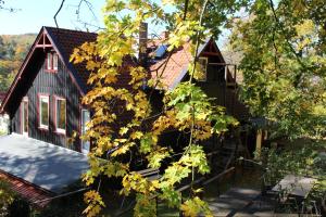 a log cabin with yellow leaves on a tree at Ferienwohnung Teufelsmauer "Waldhaus" in Blankenburg