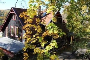 ein Blockhaus mit gelben Blättern auf einem Baum in der Unterkunft Ferienwohnung Teufelsmauer "Waldhaus" in Blankenburg