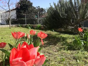 Zahrada ubytování Home di Federico + 2 fotografie