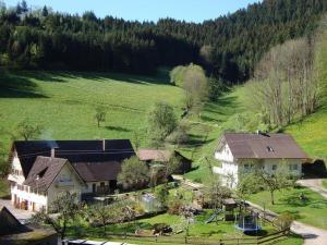 een luchtzicht op een huis in een groen veld bij Klausseppenhof in Oberwolfach