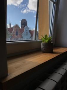 Fotografia z galérie ubytovania Apartament na poddaszu v destinácii Gdansk