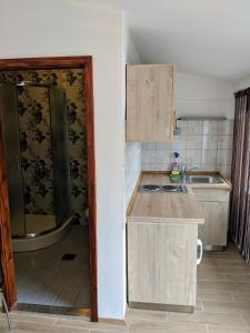 een kleine keuken met een wastafel en een douche bij Apartments Tome in Ljubljana