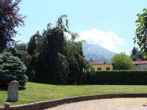 een park met een grote boom in het gras bij La Coccinella B&B in Boves