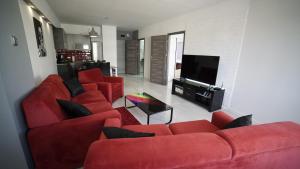 Televízia a/alebo spoločenská miestnosť v ubytovaní Apartament Delux
