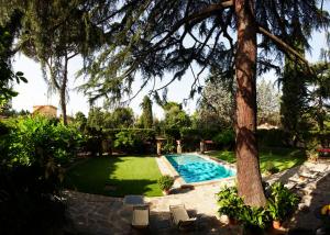 an outdoor pool with trees and shrubbery at Park Palace Hotel in Florence