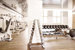 a gym with dumbbells and weights on a wall at Firefly Luxury Suites in Zermatt
