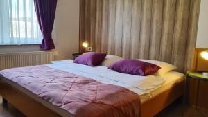 Afbeelding uit fotogalerij van Hotel Zvonimir in Otočac