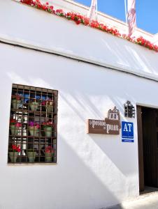 ein weißes Gebäude mit einem Fenster mit Topfpflanzen in der Unterkunft Suites La Posada De Pilar in Córdoba
