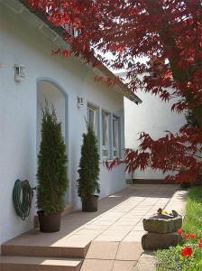 a house with two potted trees in front of it at Hotel zur Schwaben-Schänke in Renningen