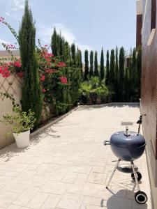 Zahrada ubytování Calle Malta 19 Villa