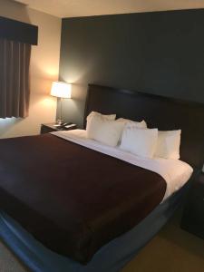 a bedroom with a large bed with white pillows at AmericInn by Wyndham Monmouth in Monmouth