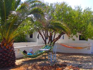 a person laying in a hammock under a palm tree at Pavlosx2 in Chora Folegandros