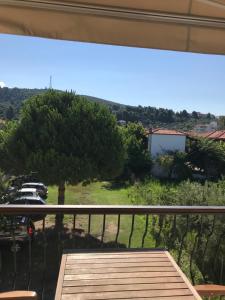 Príroda v okolí hotela