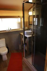 a bathroom with a toilet and a sink and a shower at Glamping Alcantara in Motta Camastra