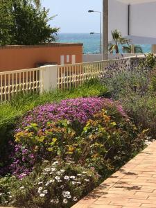 a garden of flowers with the ocean in the background at Esti Chamaco - Lagos in Lagos