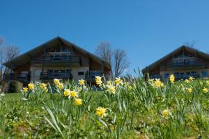 a field of flowers in front of a building at Les Adrets in Gérardmer