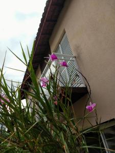 roślina z fioletowymi kwiatami przed oknem w obiekcie Casa em condomínio - Enseada w mieście Guarujá