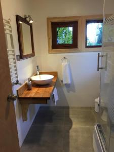 a bathroom with a sink and a glass shower at Almabosque Cabañas in Puerto Varas