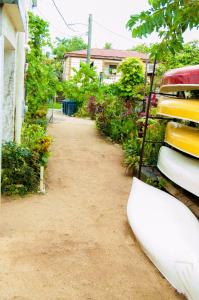 Foto dalla galleria di Chaleanor Hotel a Dangriga