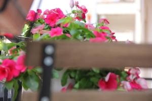 Fotografie z fotogalerie ubytování B&B Casa Venezia v destinaci Bernalda