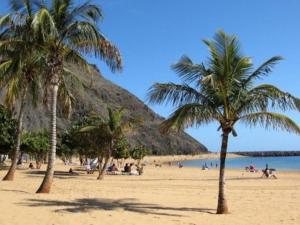 grupa palm na piaszczystej plaży w obiekcie AUREA, estancia EN SANTA CRUZ, SUPER CENTRICO! w mieście Santa Cruz de Tenerife