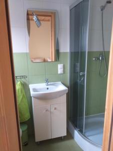 a bathroom with a sink and a shower at Pokoje u Celinki in Szczawnica