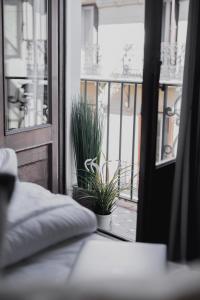 Un dormitorio con una cama y una ventana con una planta en room Select Sol en Madrid