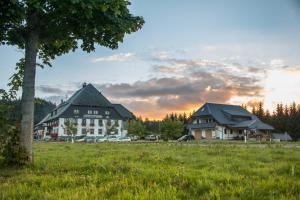 twee huizen in een veld met een boom bij Gasthaus Kalte Herberge in Vöhrenbach