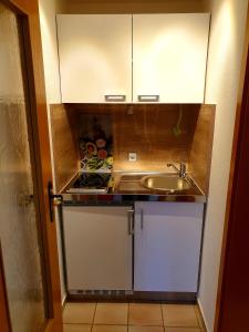 eine kleine Küche mit einer Spüle und einer Theke in der Unterkunft Wohlfühl-Apartment Bad Kissingen II in Bad Kissingen