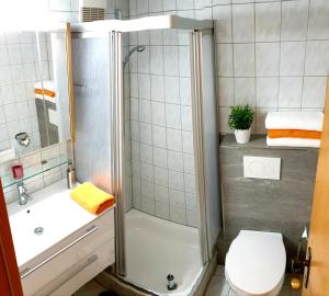 La salle de bains est pourvue d'une douche, de toilettes et d'un lavabo. dans l'établissement Wohlfühl-Apartment Bad Kissingen II, à Bad Kissingen
