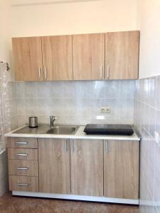 Kuchyň nebo kuchyňský kout v ubytování Apartment Anic
