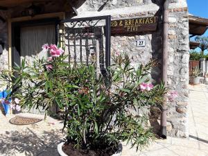 Zahrada ubytování B&B Pivi