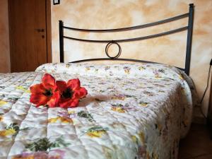 a red flower sitting on top of a bed at B&B Pivi in Ponti Sul Mincio
