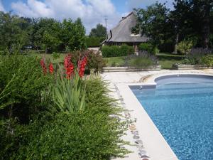 una piscina en un jardín con flores y una casa en LA GRIOTTE 2 & Spa&Piscine, en Pennedepie