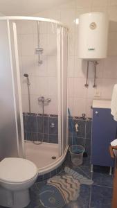 a bathroom with a shower with a toilet and a sink at Apartmani Herceg in Karlobag