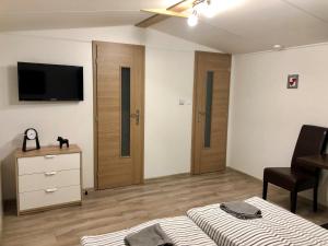 科希策Holiday houses BARCA的一间带床、梳妆台和电视的卧室
