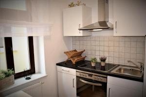 a kitchen with a sink and a stove top oven at SALZHAUSBLICK BUSINESS APARTMENTS - Zentrale Lage am Salzhaus - MwSt-Rechnung verfügbar in Zittau