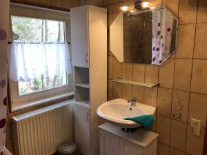 uma casa de banho com um lavatório, um espelho e uma janela em Gemuetliche Eule em Waischenfeld