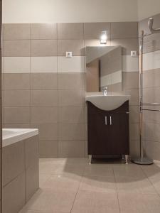 W łazience znajduje się umywalka i lustro. w obiekcie St. Péter Apartman w mieście Pecz