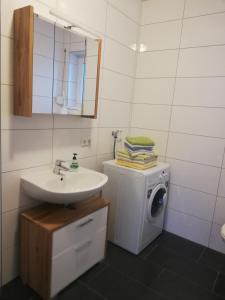 y baño con lavabo y lavadora. en Gemütliches 3 Zimmer Apartment nahe Graz, en Gratkorn