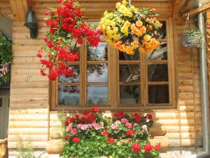 Gallery image of Pension Crizantema in Vatra Moldoviţei