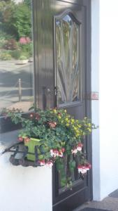 uma caixa de janela com um vaso de planta na frente de uma porta em Ferienwohnung Oberkirchen em Schmallenberg