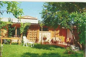 a yard with chairs and a table in the grass at B&B Marino E Lily in Baratili San Pietro
