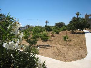 einen Garten mit Bäumen und Blumen auf einem Hügel in der Unterkunft Ranch Tanit Djerba in Midoun