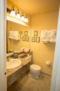 a bathroom with a toilet, sink and mirror at Hearthstone Inn Boutique Hotel Halifax-Dartmouth in Halifax