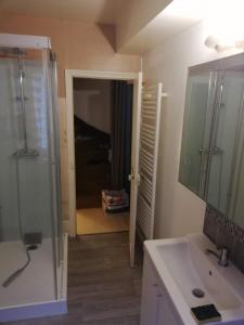 阿拉斯的住宿－L'arras Square，带淋浴、盥洗盆和镜子的浴室