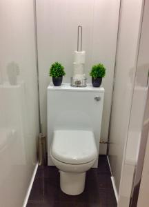 a bathroom with a toilet with two plants on it at Station House in Didcot