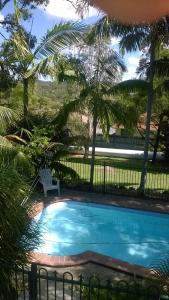 a pool in a yard with a chair and palm trees at Cosy, self-contained and central to everywhere in Gold Coast