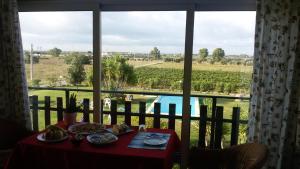a table with a view of a vineyard from a window at La Mia Casa per Tutti in Cerveteri